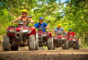 Persona manejando un ATV en un paisaje natural