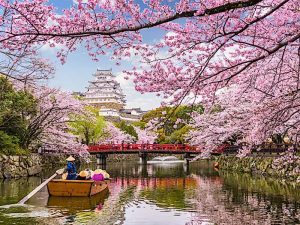 Paisaje impresionante de Japón con elementos culturales y naturales destacados