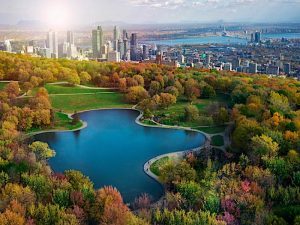 Imagen Panorámica de Montreal, Quebec con Edificios y el Río