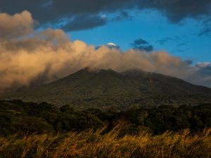 Paisaje verde de Costa Rica con exuberante vegetación