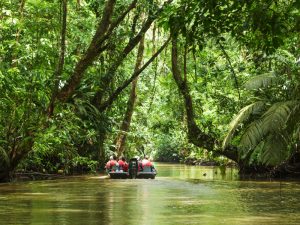 Paisaje verde y exuberante de Costa Rica
