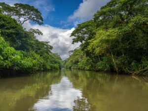 Paisaje verde y exuberante de Costa Rica