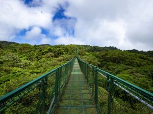 Vista panorámica de la Reserva Bosque Nuboso Monteverde en Costa Rica