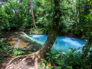 Río Celeste en Costa Rica con aguas turquesas y vegetación exuberante
