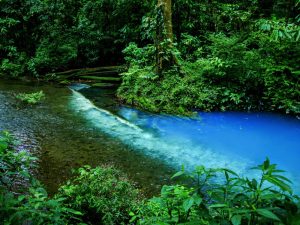 Hermosa vista del Río Celeste en Costa Rica con aguas azules y vegetación exuberante