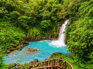 Vista panorámica del Río Celeste rodeado de exuberante vegetación en Costa Rica