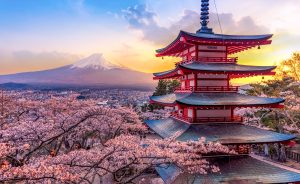 Vista panorámica de Tokio con rascacielos y zonas verdes