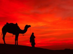 Vista panorámica del amanecer iluminando las Pirámides de Egipto
