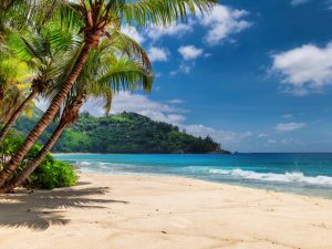 Paisaje tropical de Jamaica con palmeras y mar azul
