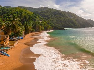Vista panorámica de una playa en Jamaica con aguas turquesas y palmeras